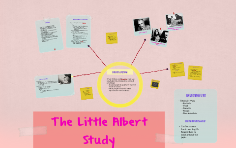 what is the little albert case study