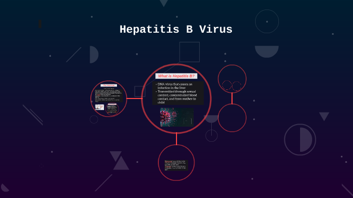 Hepatitis B Virus by Hannah Barnes on Prezi