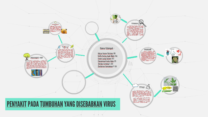 Penyakit Tumbuhan Yang Disebabkan Oleh Virus Berbagai Sebab