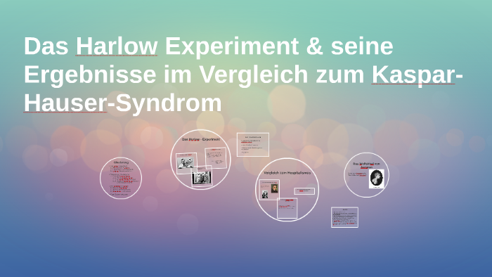 das harlow experiment