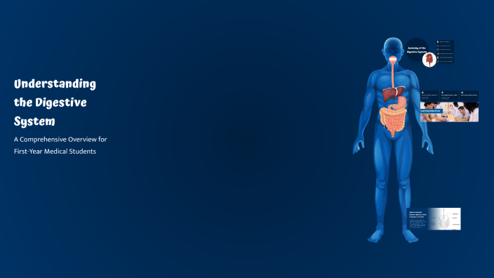 Understanding the Digestive System by C You on Prezi