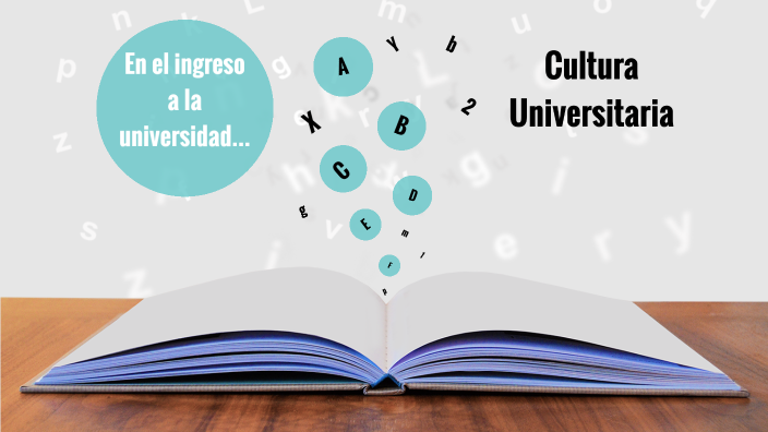 O Que é Cultura Universitária