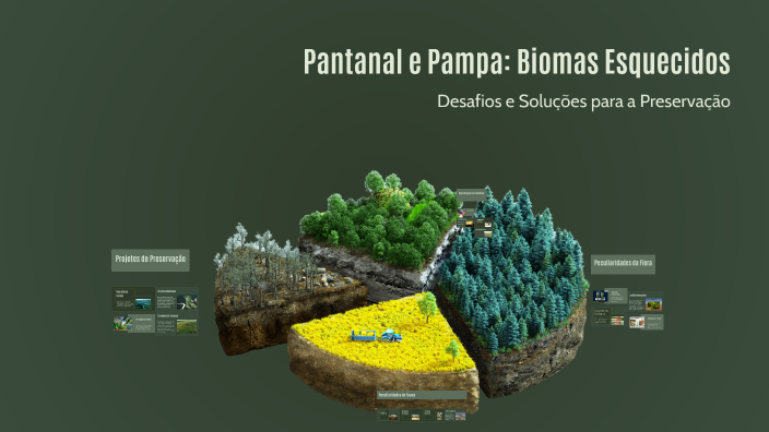 Pantanal e Pampa: Biomas Esquecidos by maria guedes on Prezi