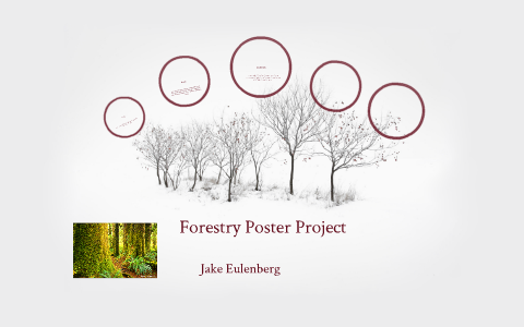 Forestry Poster Project by jake eulenberg on Prezi