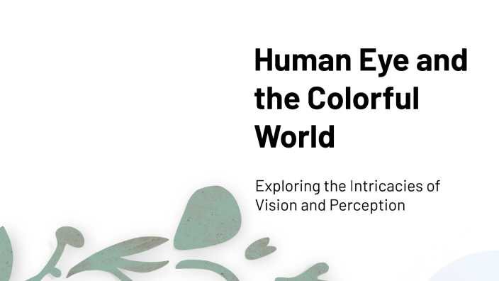 Human Eye and the Colorful World by alphachemistry 001 on Prezi