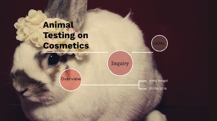 Animal Testing on Cosmetics by ANNA WEIGEL