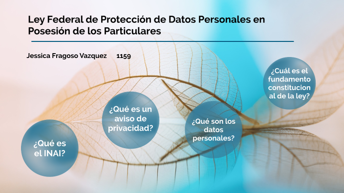 Ley Federal De Protección De Datos Personales En Posesión De Los Particulares By Jessica Fragoso 9385