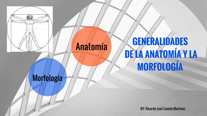 Generalidades De La Anatomía Y La Morfología By Ricardo Jose Camilo ...