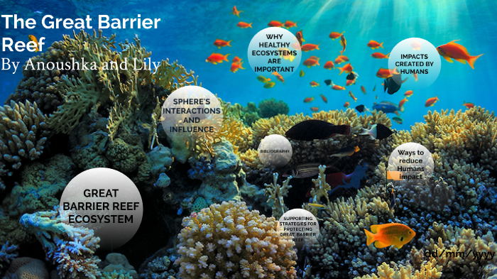 The Great Barrier Reef by Anoushka Murray on Prezi