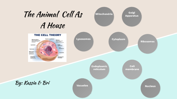 Animal cell by Brianna Saforo-Appiah on Prezi