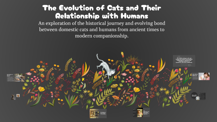 The Evolution of Cats and Their Relationship with Humans by Rosa Gil ...