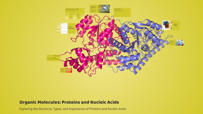 Organic Molecules: Proteins and Nucleic Acids by Sandra Trpcevska on Prezi