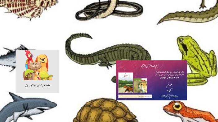 By Mohaddeseh Dastjani On Prezi by-mohaddeseh-dastjani-on-prezi
