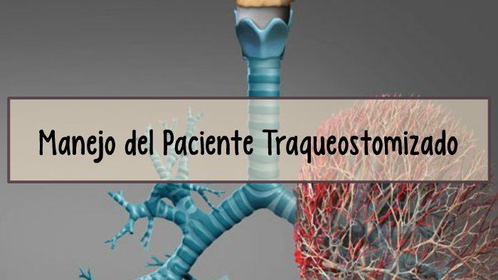 Manejo Del Paciente Traqueostomizado By Pao Maddonni On Prezi