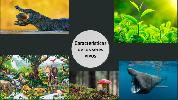 Características de los seres vivos by Carlos Oliva on Prezi