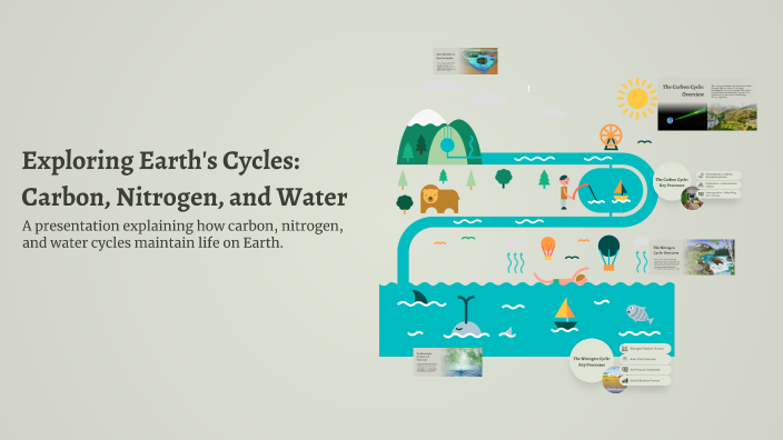 Exploring Earth's Cycles: Carbon, Nitrogen, and Water by Ashley ...