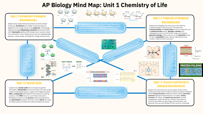 Unit 1: Mind Map - Nicolas Vasquez by Nicolas Vasquez on Prezi