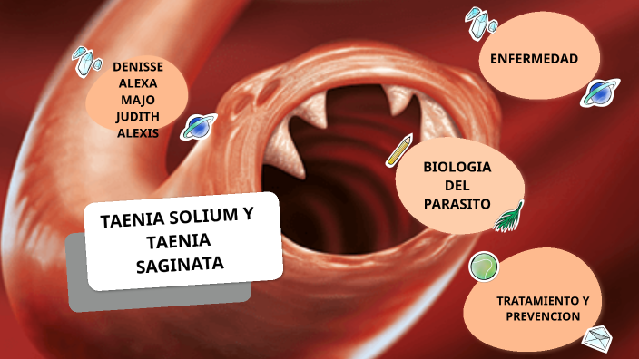 taenia solium y taenia saginata by Alexa Paola Brambila Hernández on Prezi