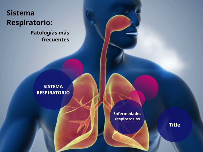 Sistema respiratorio: Patologías más frecuentes by Miriam Ss on Prezi