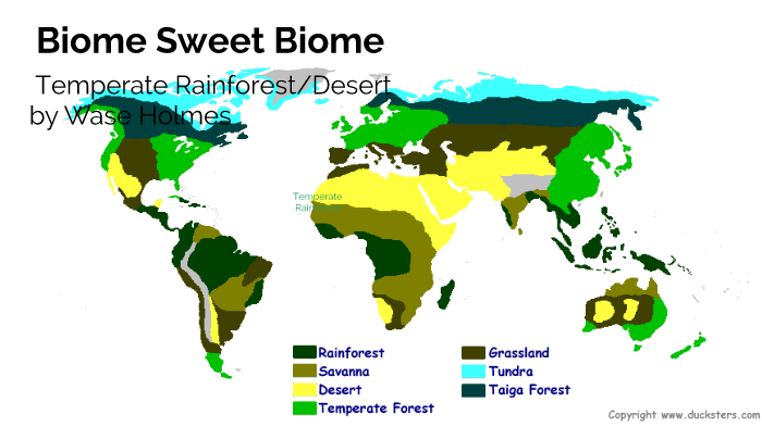 Biome Sweet Biome by wase Holmes