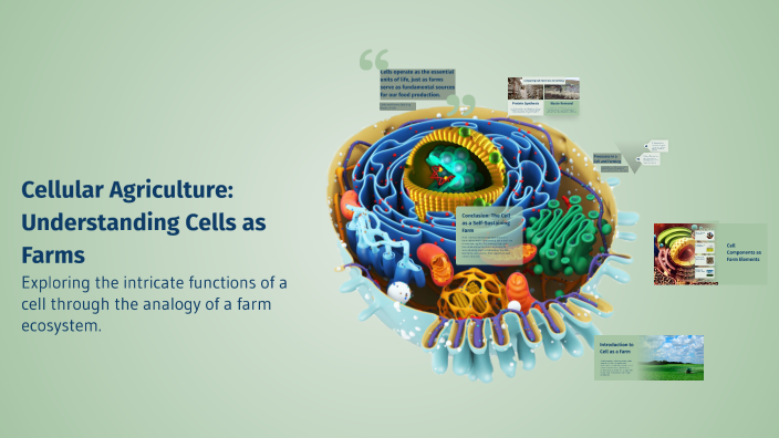 Cellular Agriculture: Understanding Cells as Farms by Ezekiel Hector on ...