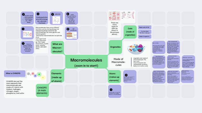 Macromolecules Concept Map By Mckenzie Hall On Prezi