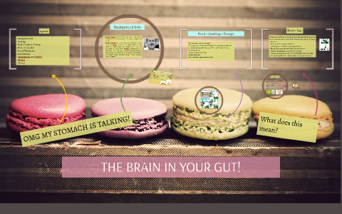THE BRAIN YOUR GUT! by Elyssa Cotto on Prezi