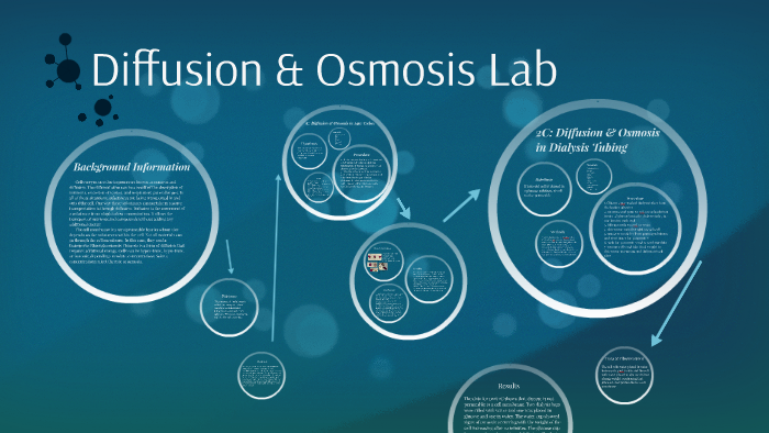 Diffusion And Osmosis Lab By Haley Park