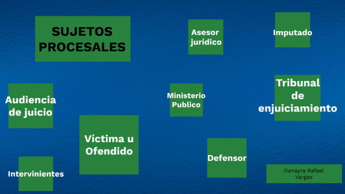 LOS SUJETOS PROCESALES EN LA AUDIENCIA DE DEBATE by Danayra Rafael ...