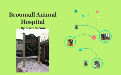 Broomall Animal Hospital by Erica Nelson