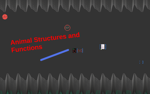 Animal Structure and Functions by adrianeli gomez on Prezi