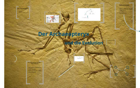 Fluordatierung der Archäologie