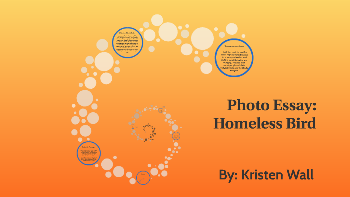 Homeless bird essays 07 picture