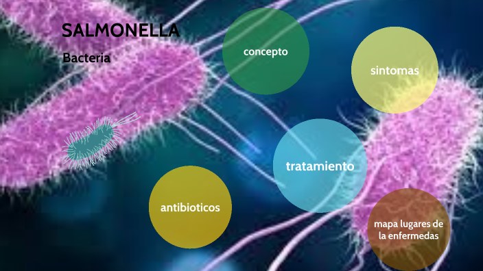 SALMONELLA by briana viscarra alvarez on Prezi