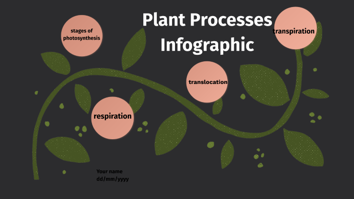 Plant Processes Infographic by Tamia clay on Prezi