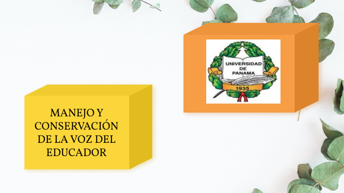 Manejo y conservación de la voz by Jorge Roldán Hayans on Prezi