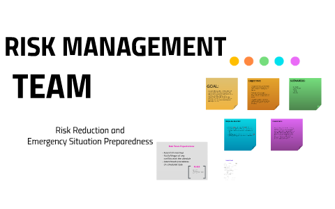 RISK MANAGEMENT by on Prezi