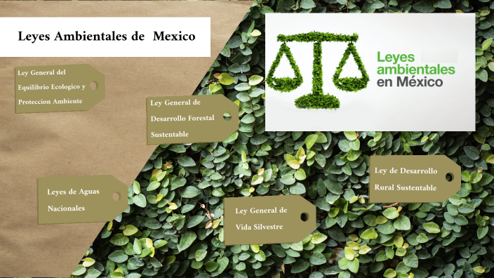 Leyes ambientales en Mexico by luis hernandez on Prezi