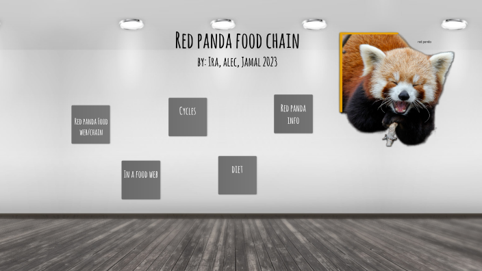Red panda food chain by Ira Hinton on Prezi