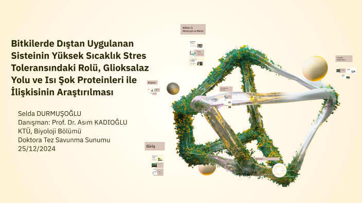 Tez Savunma Sunumu by Selda DURMUŞOĞLU on Prezi