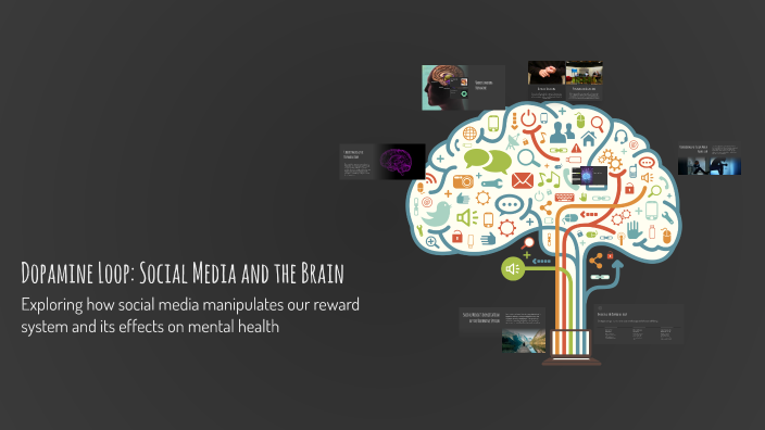 Inside the 'dopamine loop': Why we can't stop scrolling and ... - MSN