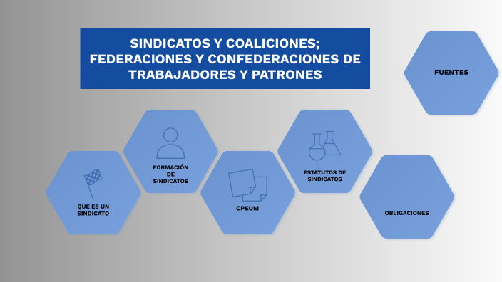 SINDICATOS Y COALICIONES; CONFEDERACIONES DE TRABAJADORES Y PATRONES By ...