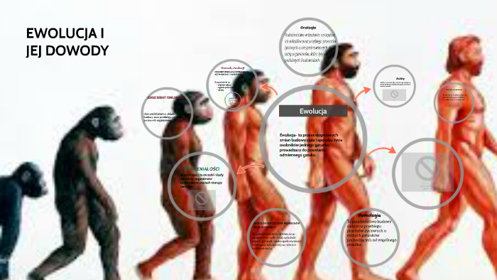 Biologia Ewolucja I Jej Dowody Sprawdzian Ewolucja i jej dowody by Alicja Anna on Prezi