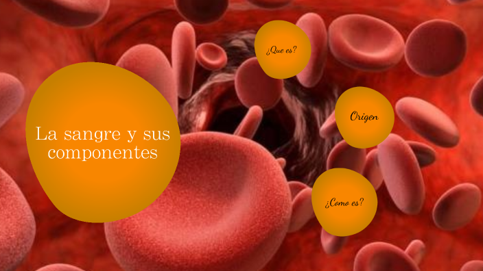 La Sangre Y Sus Componentes By Madahi Lucero Huincho Castillo On Prezi