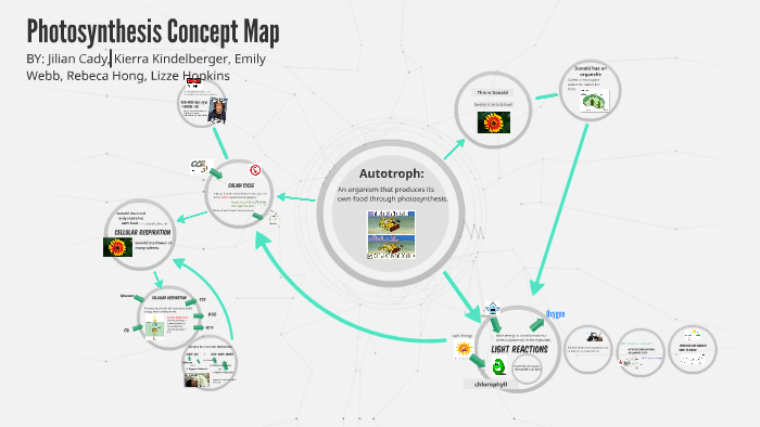 Photosynthesis Concept Map by Jilian Cady on Prezi