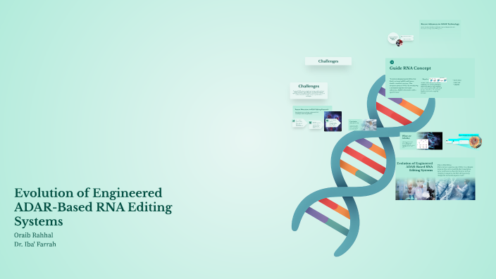 Evolution of Engineered ADAR-Based RNA Editing Systems by Oraib Rahhal ...