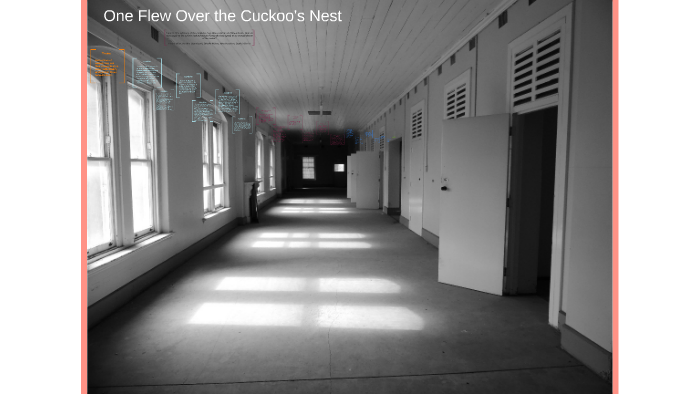 Реферат: One Flew Over The Cuckoo