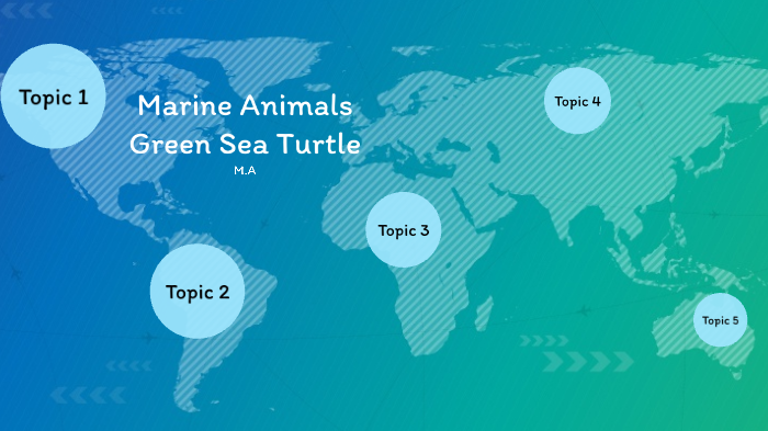 M.A Green Sea Turtles by Alisha Marie Kitutu on Prezi