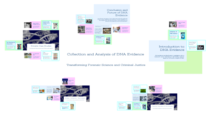 Collection and Analysis of DNA Evidence by Ricardo Arellano on Prezi