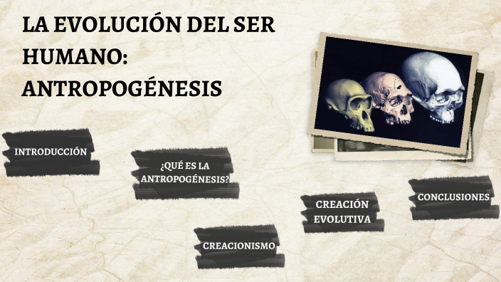 La evolucion del ser humano: el antropogenesis by Ariana Fernandez on Prezi